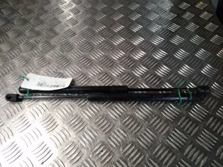 Vérin gauche de Hayon - RENAULT MEGANE 3 PHASE 1 - 53491302129174